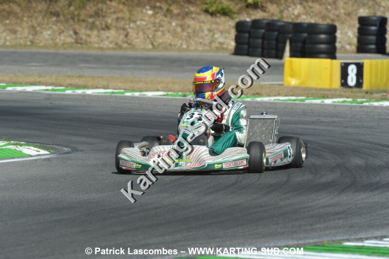 DSC_ (1124).JPG